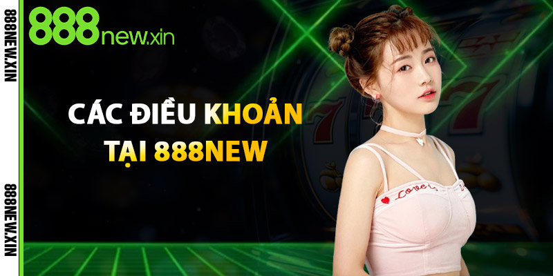 Các Điều Khoản 888New