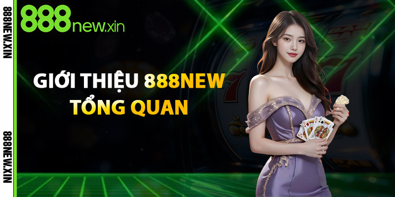 Giới Thiệu 888New Tổng Quan